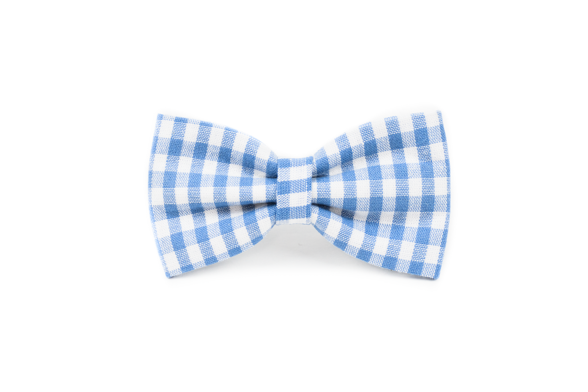 Blue gingham dog collar hotsell