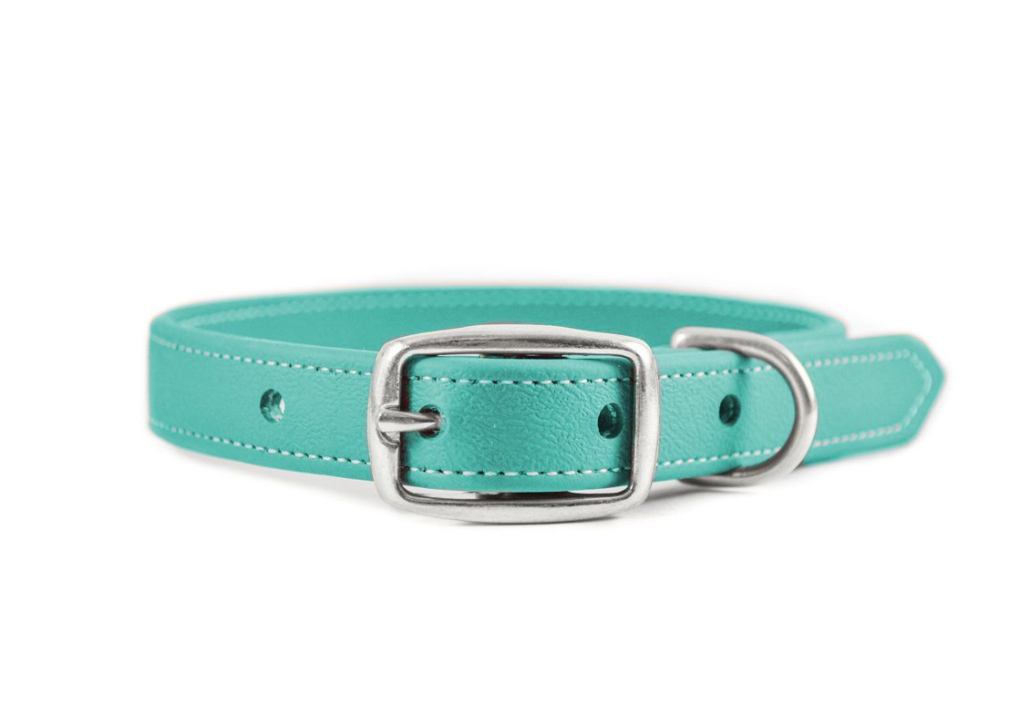 Teal blue best sale dog collar